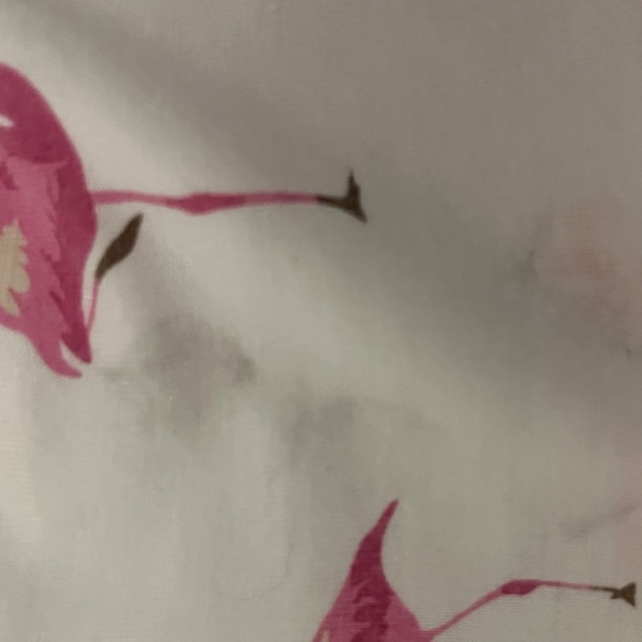 Lot of Toddler Girls Clothing - Picture 3 of 16